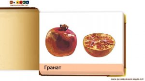 По пути методики Домана Карточки Овощи Фрукты Ягоды 2