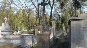 Разграбленные склепы на Лычаковском кладбище.Львов.