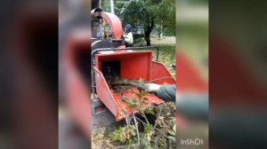 измельчитель веток Медведь M2 ( ест как не в себя)