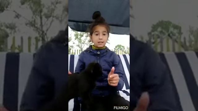 Как научить питомца команде ко мне и рядом. смотреть онлайн