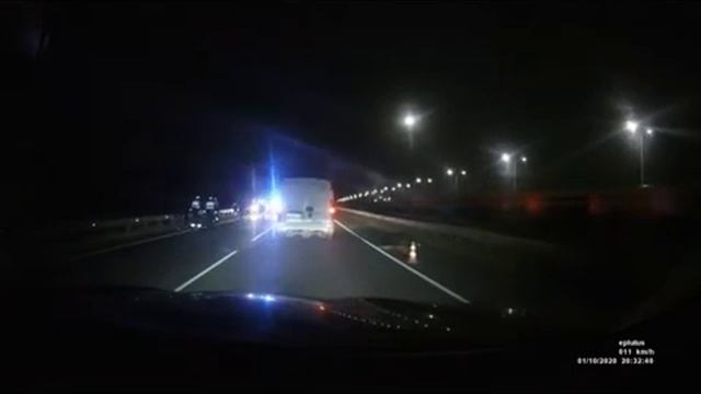 Лосенок не дошел до платной дороги