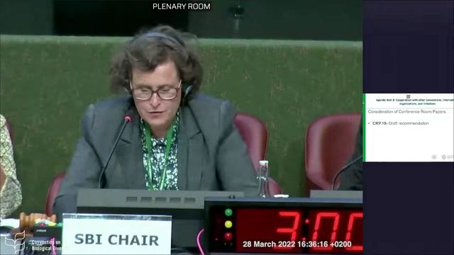 (Russian) 28 March 2022 15:00 to 18:00 (CEST) - Plenary for SBI-3 смотреть онлайн