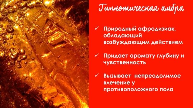 Ароматы и чувства ¦ мастер класс смотреть онлайн