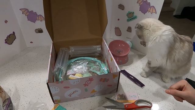 ? Pusheen Cat Kit Summer 2021 Box! Unboxing with our Cat! смотреть онлайн
