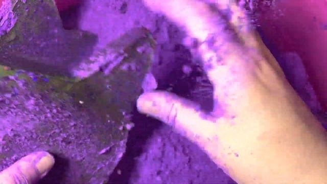 Purple Gym Chalk Stars | Oddly Satisfying | ASMR | Sleep Aid смотреть онлайн