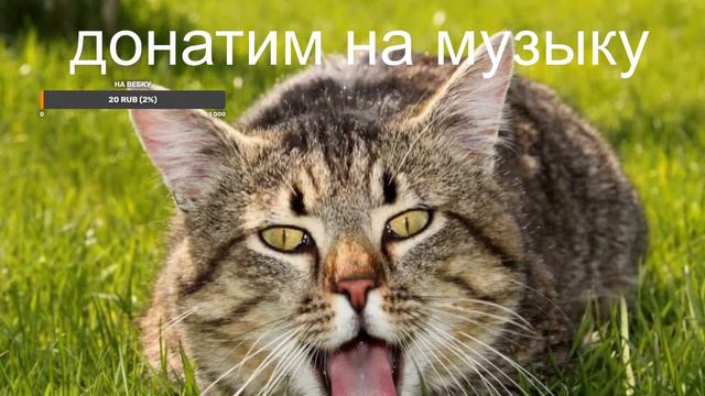музыка на донат дооонатииим включу вашу музыку смотреть онлайн