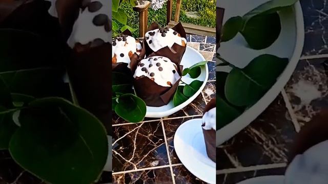 Тёплые мгновения весны. Сирень. Сад смотреть онлайн