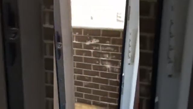 ЖК Трилогия 57 кв смотреть онлайн