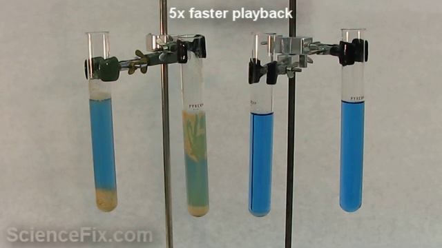 Yeast Respiration смотреть онлайн