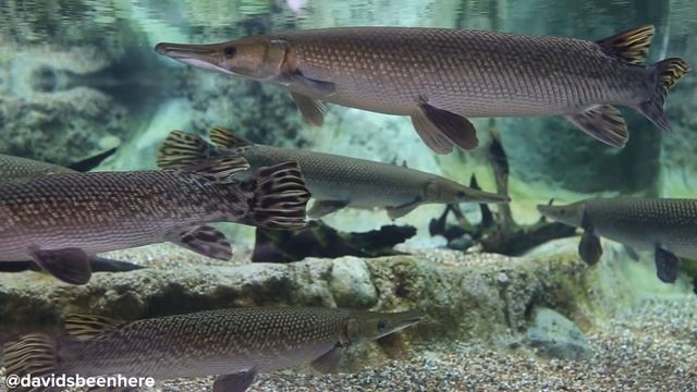 Top 10 Places to Visit in Singapore смотреть онлайн