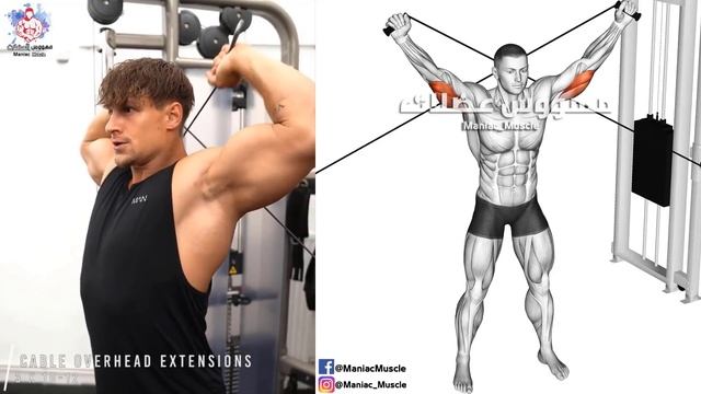 The 6 Best Huge Triceps Exercises