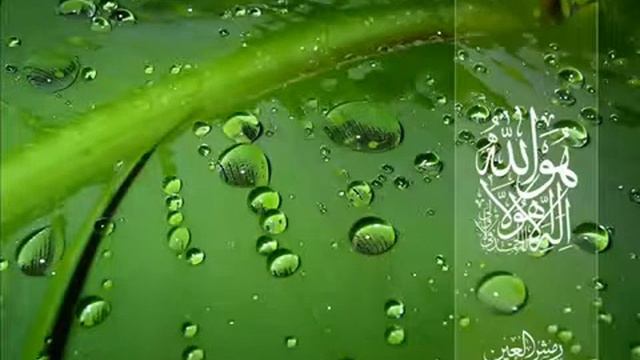 То, что делает веру и Ислам недействительным (33).mp4 смотреть онлайн