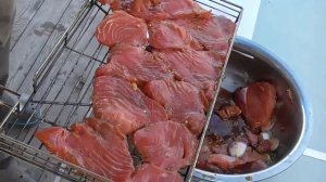 Тунец на решетке