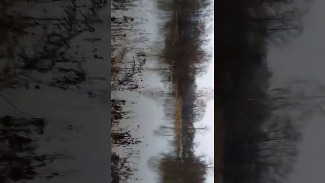 Тупо затопило всё / г. Красный Холм смотреть онлайн