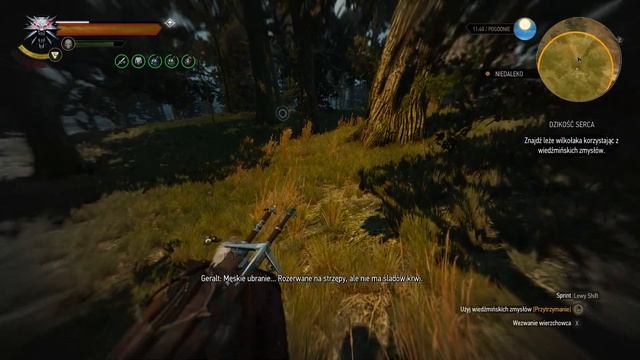 Wiedźmin 3: Dziki Gon U/60FPS NG+ (#33) - Rozkręcamy się po urlopie смотреть онлайн