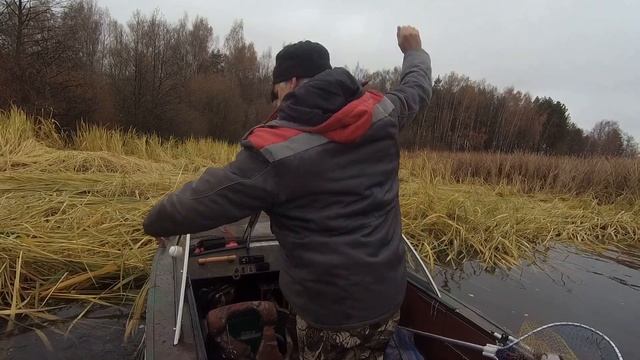 Снег растаял морозы закончились и пошла рыба и грибы .Рыбалка в ноябре Сезон продолжаем смотреть онлайн