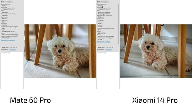 Mate 60 Pro Vs Xiaomi 14 Pro - Variable Aperture Camera Beasts Fight