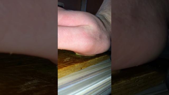 Наука о Животных и их Поведение