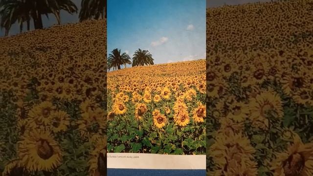 ГЛУПЕЦ. Сказка , перевод с армянского язяка смотреть онлайн