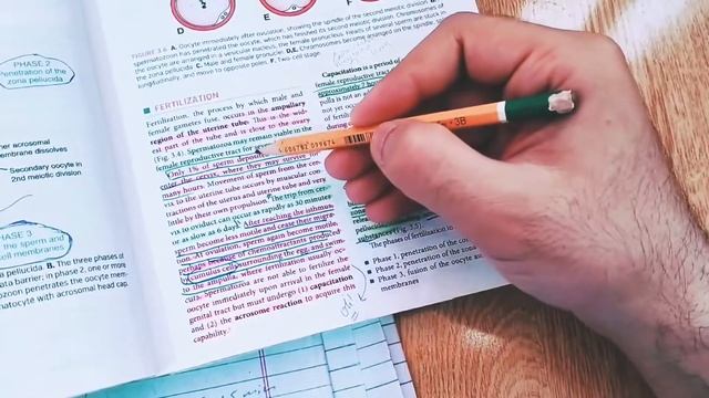 GENERAL EMBRYOLOGY ||04|| OVARIAN /MONTHLY CYCLE||FERTILIZATION || FROM BOOK || LANGMAN || смотреть онлайн