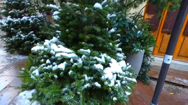 STRASBOURG/ PETITE FRANCE 2021// СТРАСБУРГ/ МАЛЕНЬКАЯ ФРАНЦИЯ 2021 смотреть онлайн