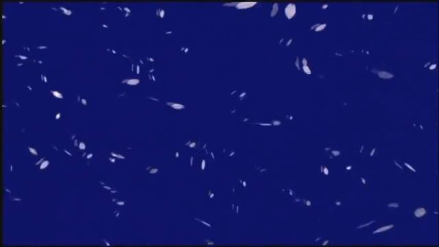 Ninja Scroll Opening смотреть онлайн
