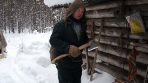 Промысел куницы в тайге с промысловиком.