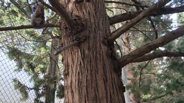 АДЛЕР 2024 ИЛИ КУДА БЕСПЛАТНО СХОДИТЬ В АДЛЕРЕ С ДЕТЬМИ #Адлер #сочи #адлер2024