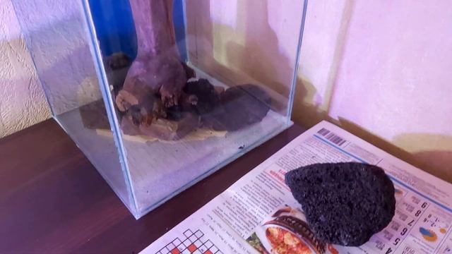 Запуск нано аквариума травника с нуля. Часть 1. Подготовка, создание хардскейпа. смотреть онлайн