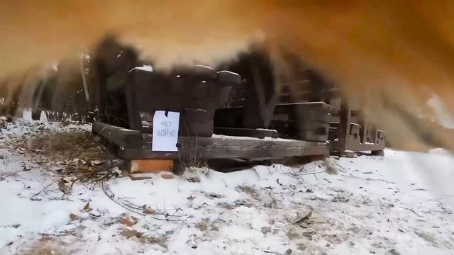 Коллеги выяснили, чем занимаются коты-патриоты. смотреть онлайн