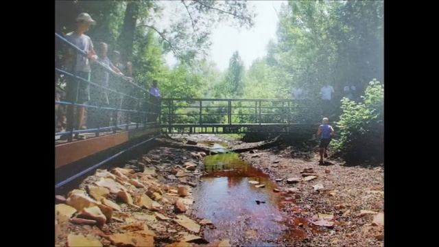 Онлайн - экскурс по сёлам Переволоцкого района 