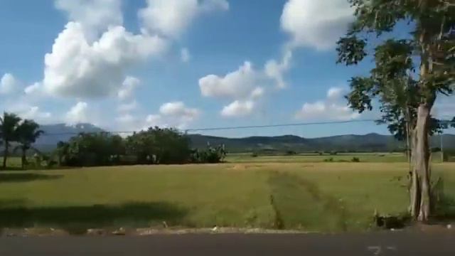 PIROT - The Best Pirot Ilonggo Song non-stop music [ Tagalog version Original ] #pirot#ilonggosong смотреть онлайн