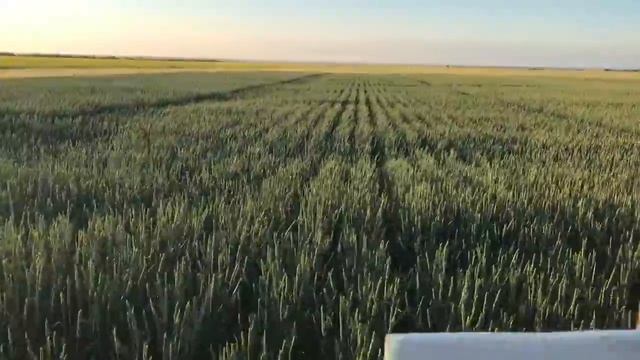 Анализы почвы - "докопаться" до истины смотреть онлайн