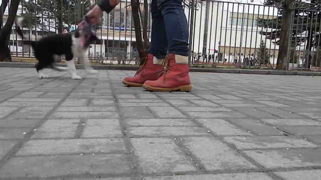 Мартышке 3 месяца 25.12 смотреть онлайн