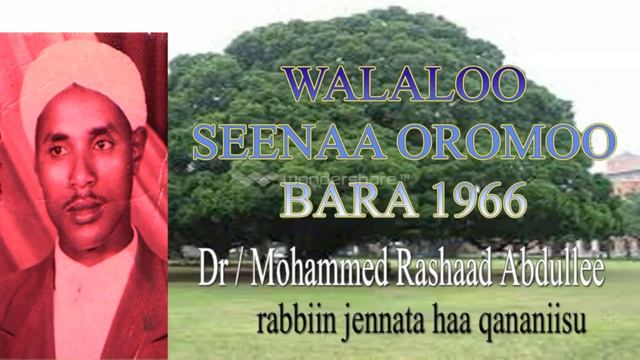 Seenaa oromo 1966
Sheikh Mohammed rashad abdulle смотреть онлайн