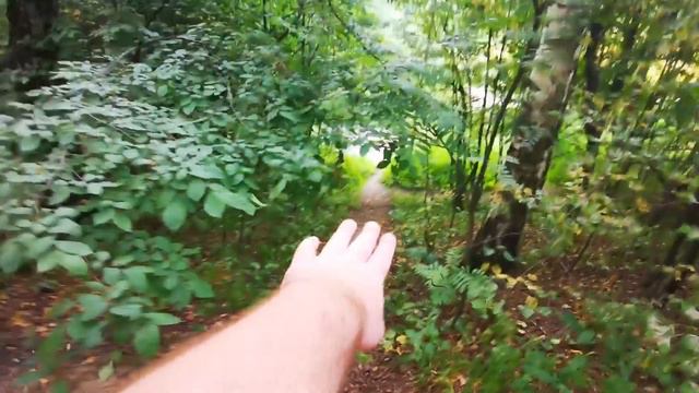 Балдеж - от заката до рассвета)))