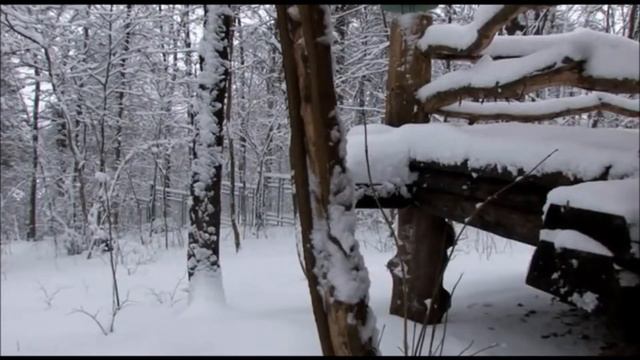 Царица Метель смотреть онлайн