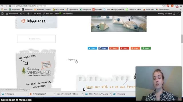 WordPress Intermediate: Creating Next Page смотреть онлайн