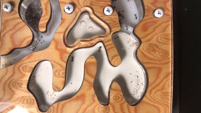 Antplanet муравьиная ферма, муравьи и савелий_карамелий смотреть онлайн