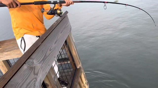 HOOKED INTO A MONSTER ON CUT BAIT East Cote Blanche Bay (Burns Point Park) Franklin,Louisiana