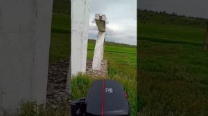 баджаж боксер 150. 250км за день , небольшой дальняк.проехал на отлично.