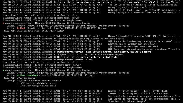 Run and Connect to MS SQL Server on Linux Step by Step tutorial смотреть онлайн