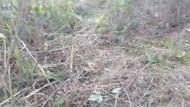 Обустройство места для частого пребывания на природе. смотреть онлайн