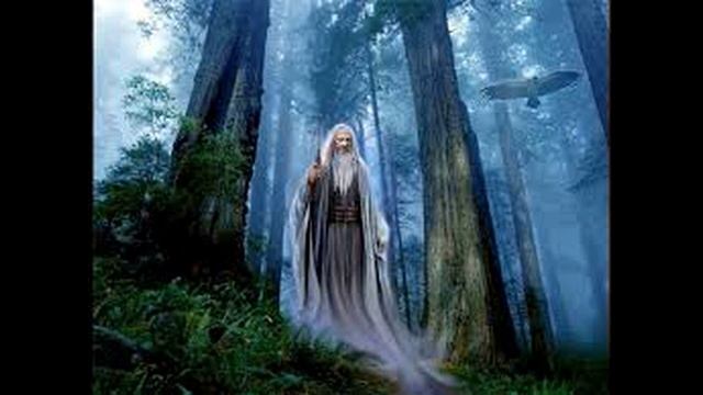 НОСОРОГ ПРОТИВ носорога, льва, слона, туристов, бородавочника и даже машины! Носорог в ДЕЛЕ! смотреть онлайн