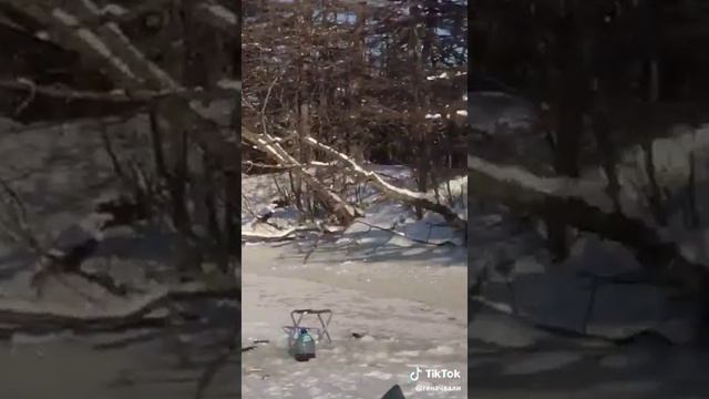 Лиса есть Лиса смотреть онлайн