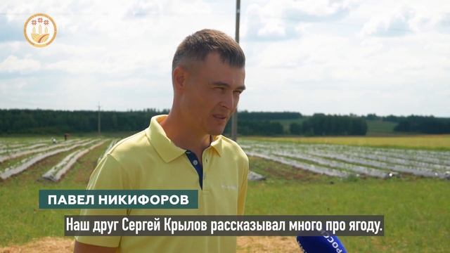 Выезд по грантам клубника смотреть онлайн