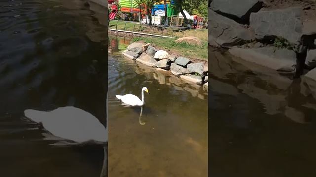 Столичный парк Астана смотреть онлайн