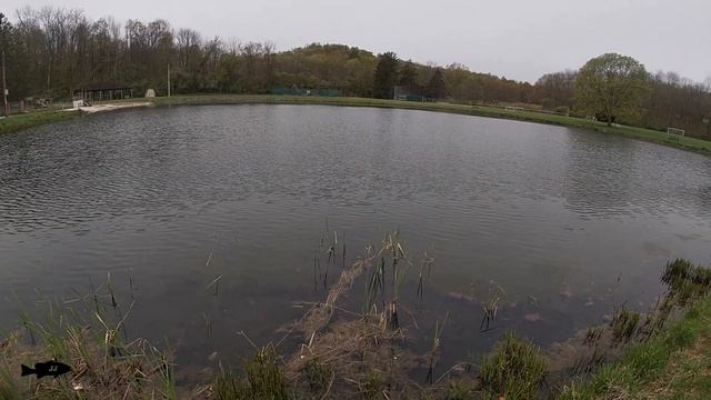 Slaying Fish on the Gulp Minnow! (Multi-Species - May 2023) смотреть онлайн