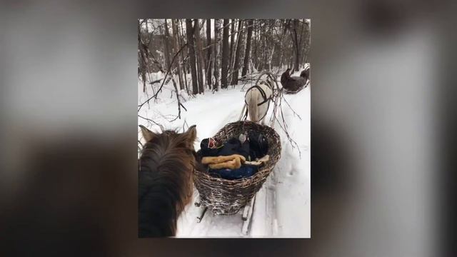 Зимний Крака. Конно-санный поход смотреть онлайн