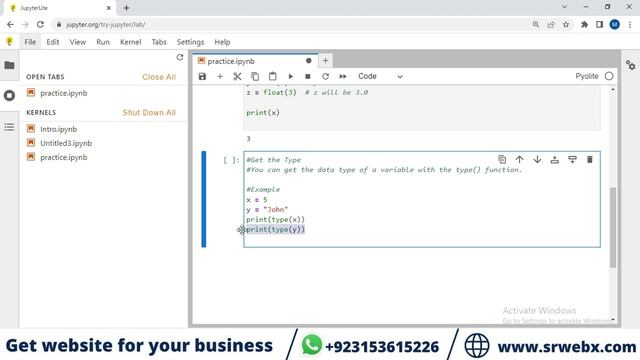 How to get data type of variable in Python 05 #prosolutions смотреть онлайн